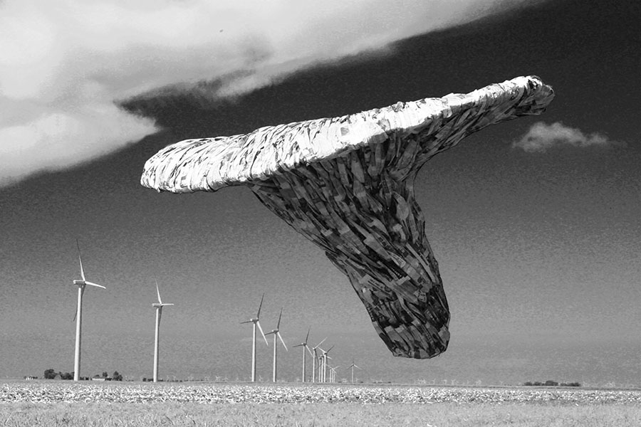 Windfield